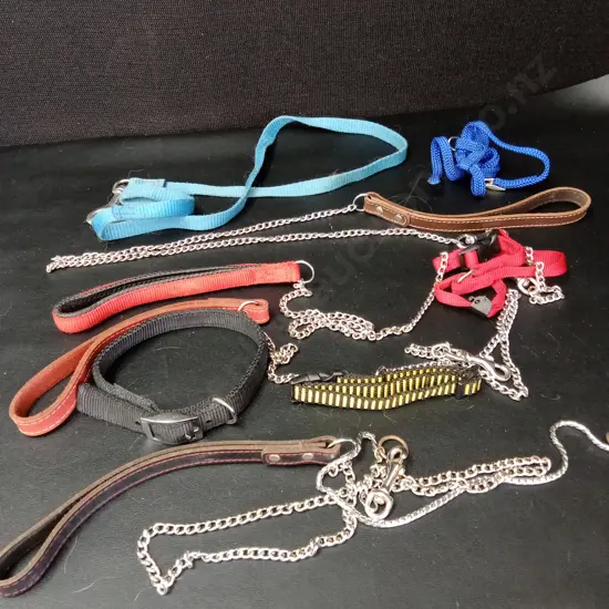 DOG LEADS AND COLLARS