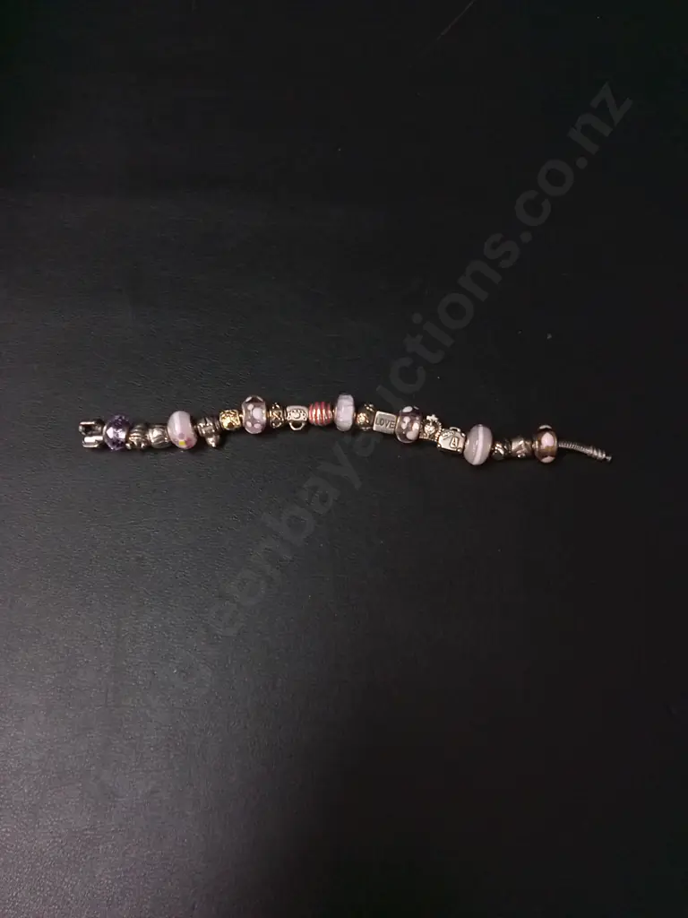 VINTAGE PANDORA CHARM BRACELET Image 1++