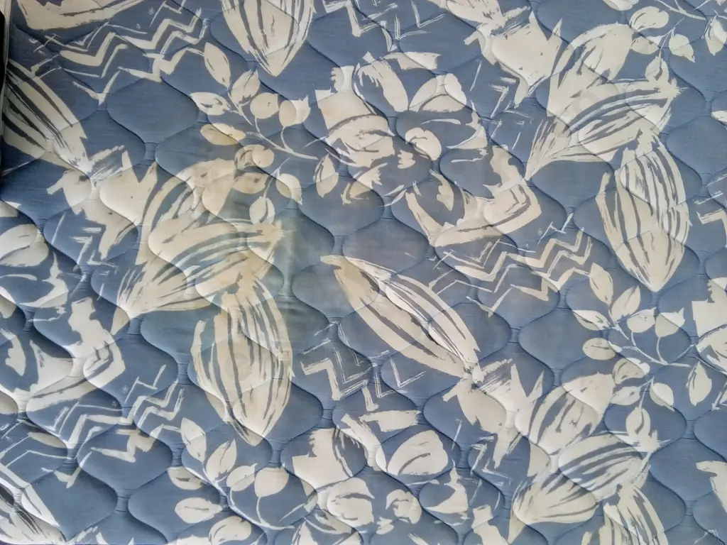 QUEEN MAGNET MATTRESS WITH MATCHING BASE Image 1++