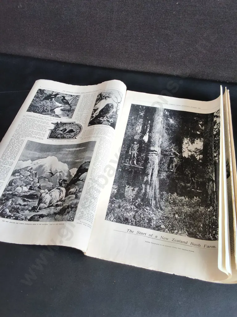 VINTAGE 1901 AUCKLAND WEEKLY NEWS "CHRISTMAS NUMBER" MAGAZINE, COMPLETE ORIGINAL EDITION Image 1++