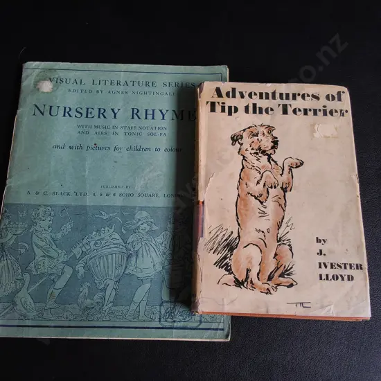 PAIR OF VINTAGE MID CENTURY ILLUSTRATED CHILDREN'S BOOKS