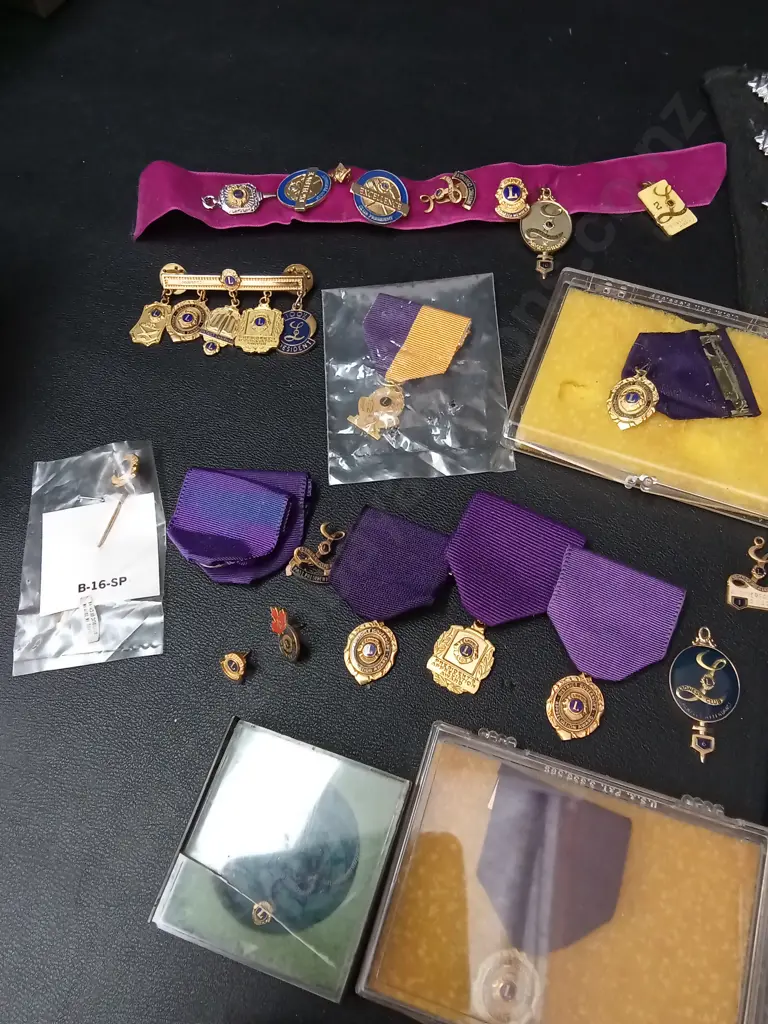 COLLECTION OF VINTAGE LIONS CLUB AWARDS, PINS AND BADGES Image 1++
