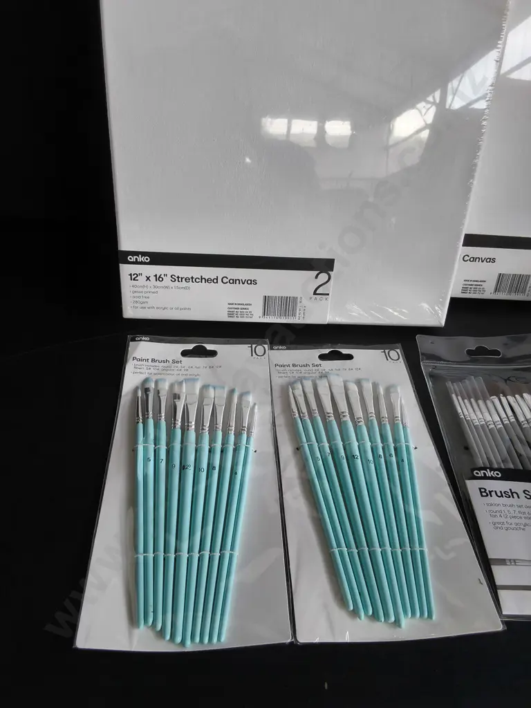 6 PIECES BRAND NEW CANVASES AND PAINTBRUSHES Image 1++