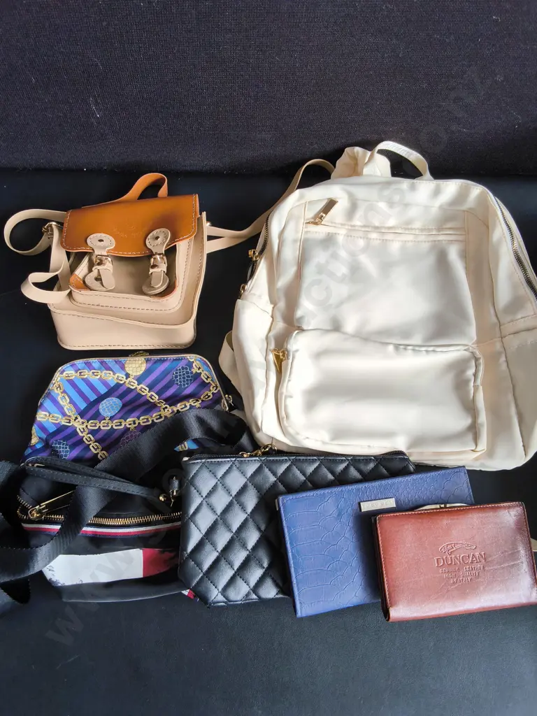 MIX OF BAGS AND WALLETS Image 1++