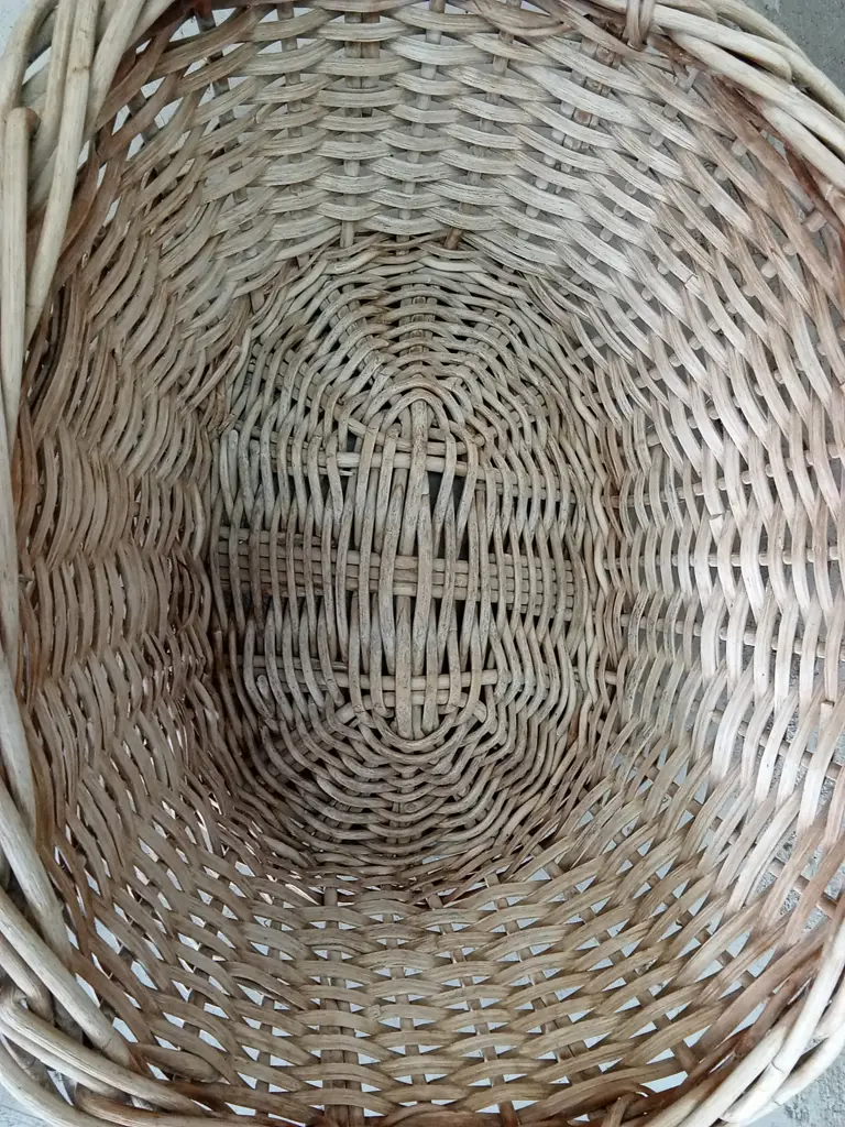 RATTAN BASKET, H 32CM X W 72CM X D 50CM Image 1++