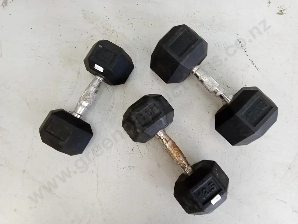 DUMBBELL SET, 1X 10KG, 12.5KG AND 17.5KG Image 1++