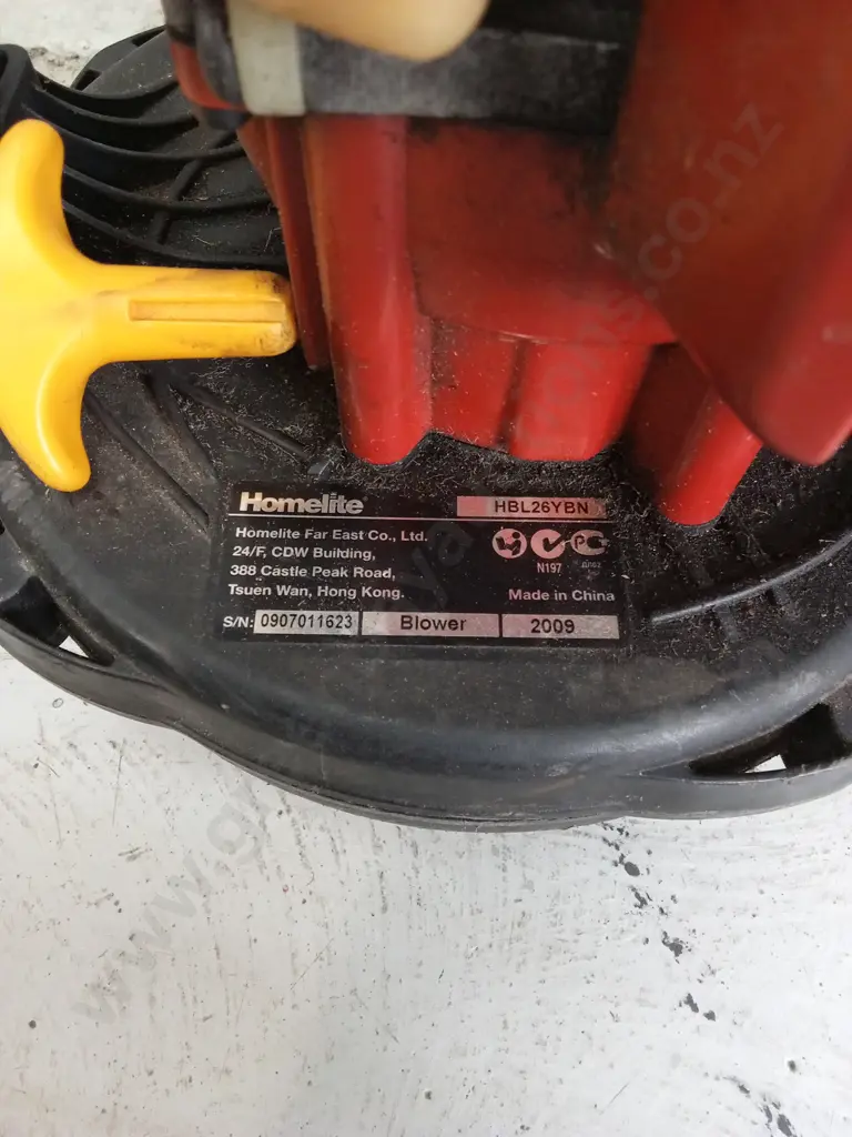 WORKING OZITO ELECTRIC CHAINSAW AND UNTESTED HOMELITE GAS BLOWER Image 1++