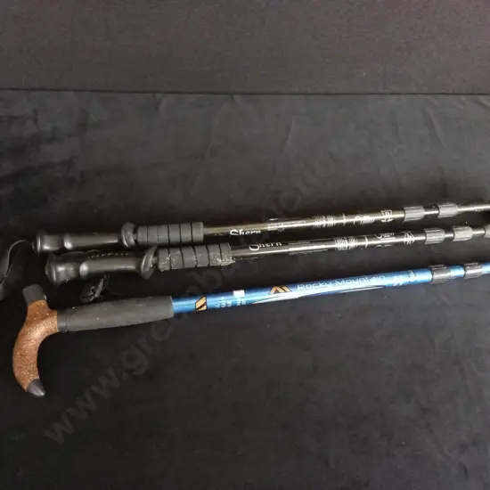 ROCKY MOUNTAIN AND SHERN HIKING STICKS X 3