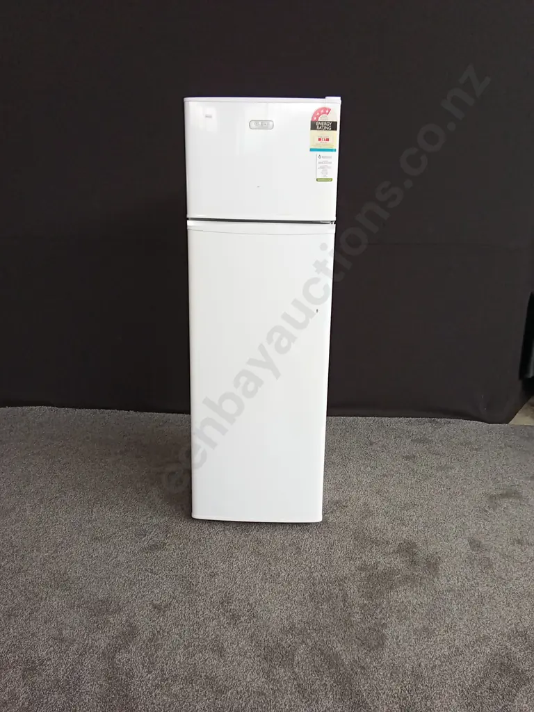 FISHER AND PAYKEL ELBA FRIDGE FREEZER Image 1++