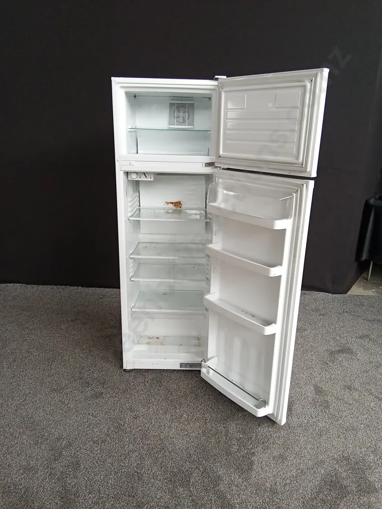 FISHER AND PAYKEL ELBA FRIDGE FREEZER Image 1++