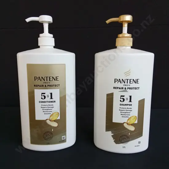 PANTENE 5 IN 1 SHAMPOO AND CONDITIONER