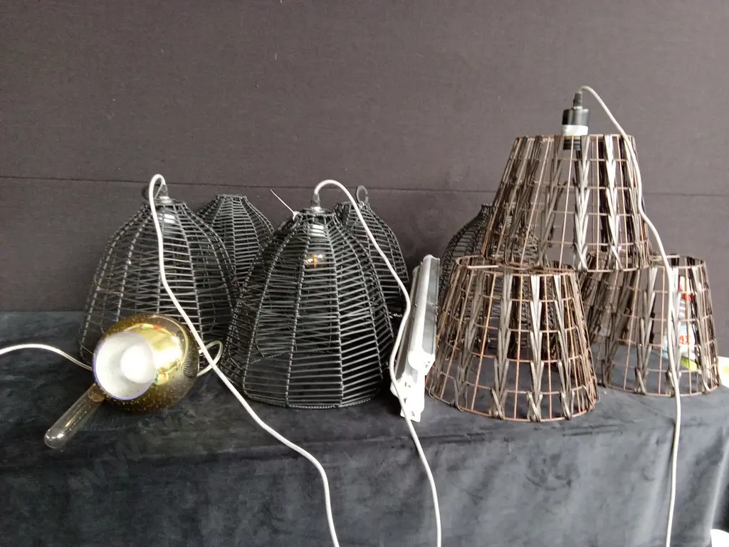 ASSORTED LIGHTS AND CARRY CASE Image 1++