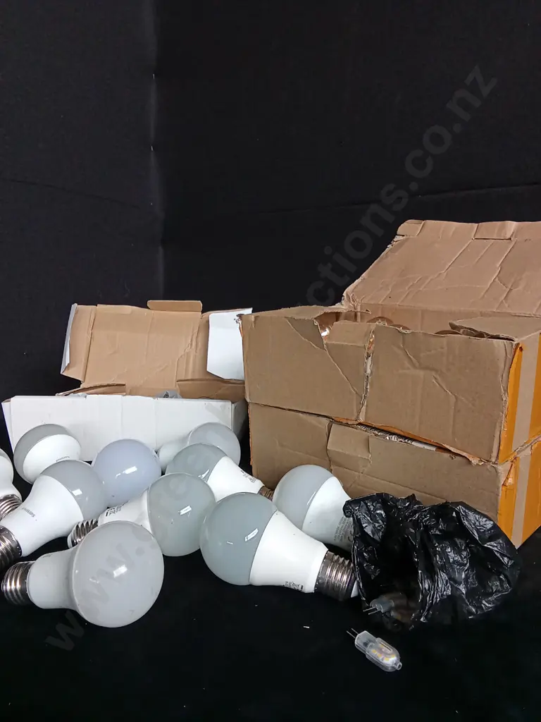 ASSORTED MIX OF LIGHT BULBS Image 1++