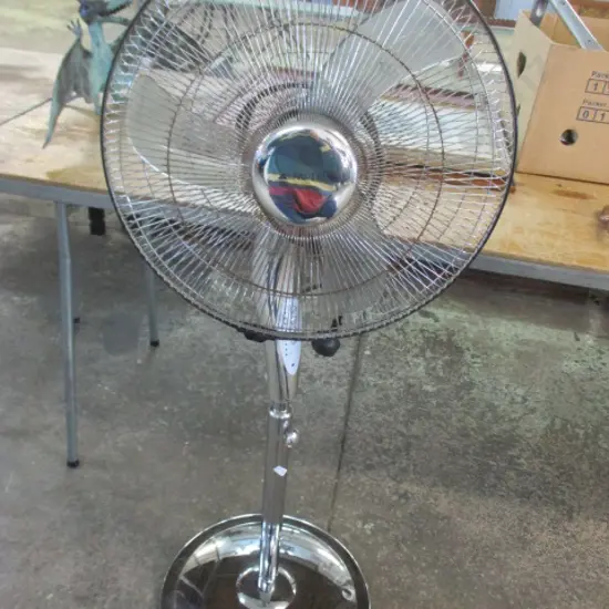 Fan