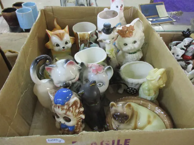 Cats Image 1++