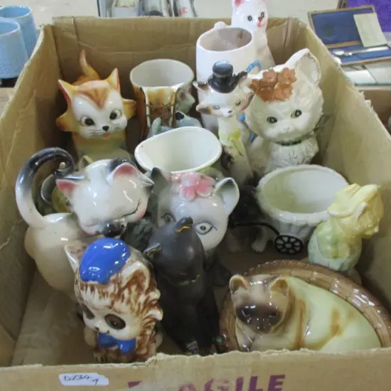Cats