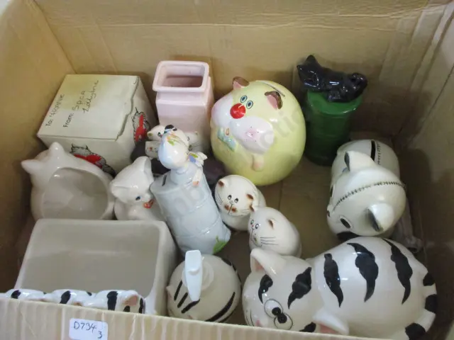Cats Image 1++