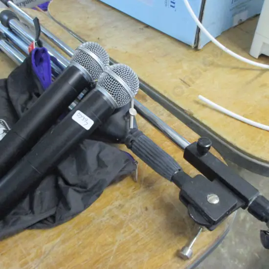 Mics and Stand
