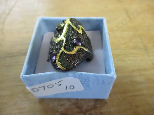 Ring Image 1++