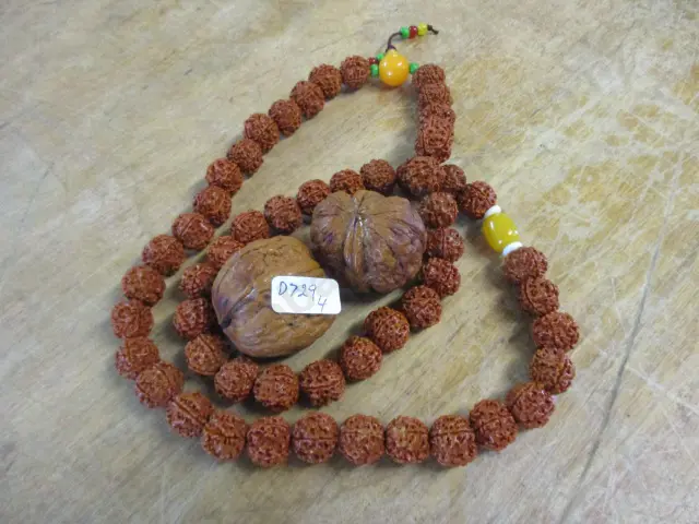 Nut Jewellery Image 1++
