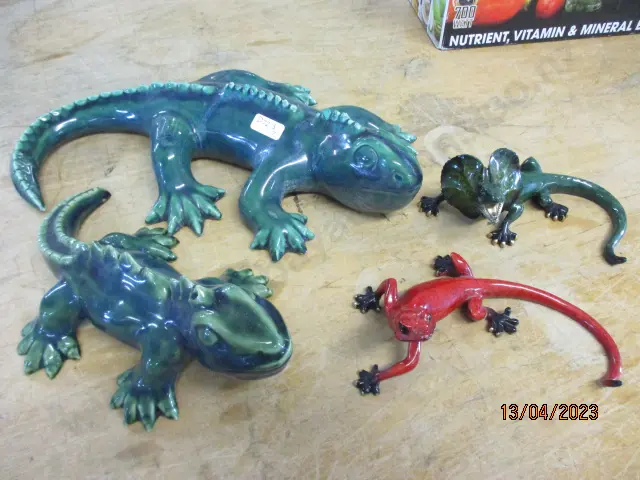 Lizards Image 1++