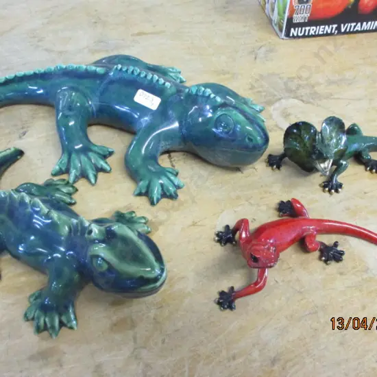 Lizards