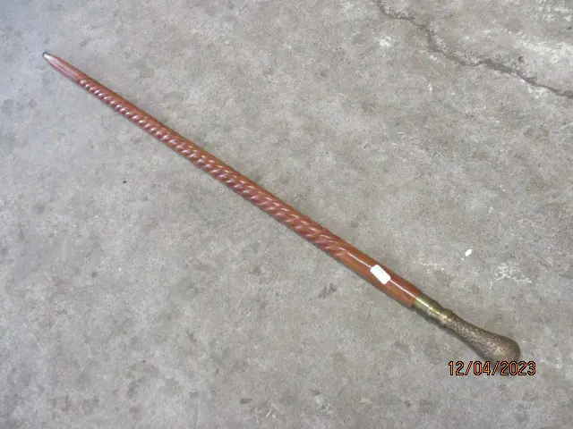 Walking Stick Image 1++