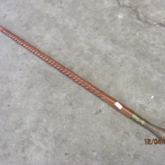 Walking Stick