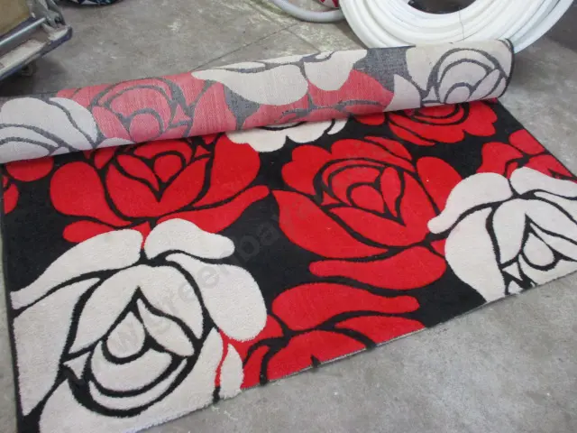 Rug Image 1++