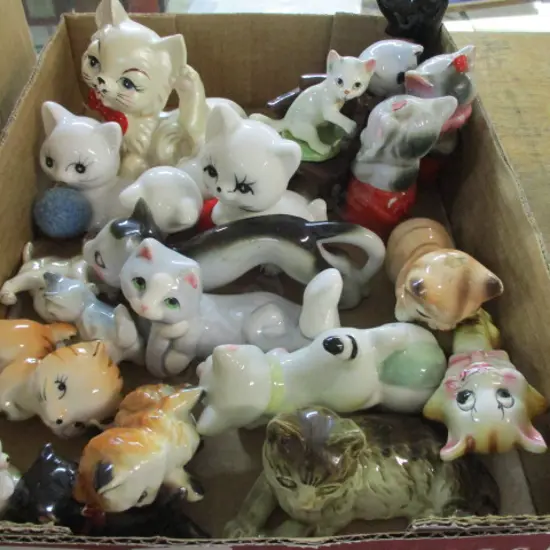 Cats