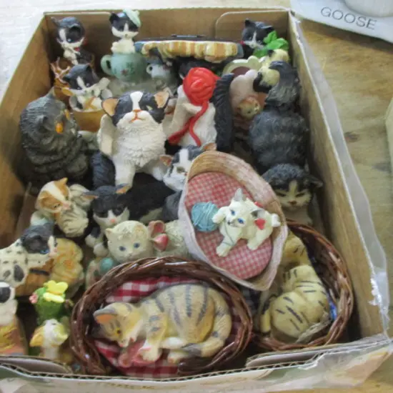 Cats