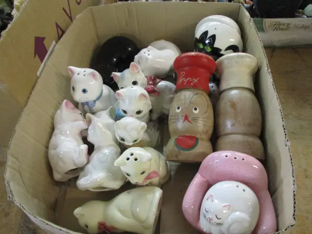 Cats Image 1++