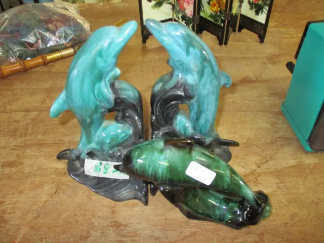 Dolphins Image 1++