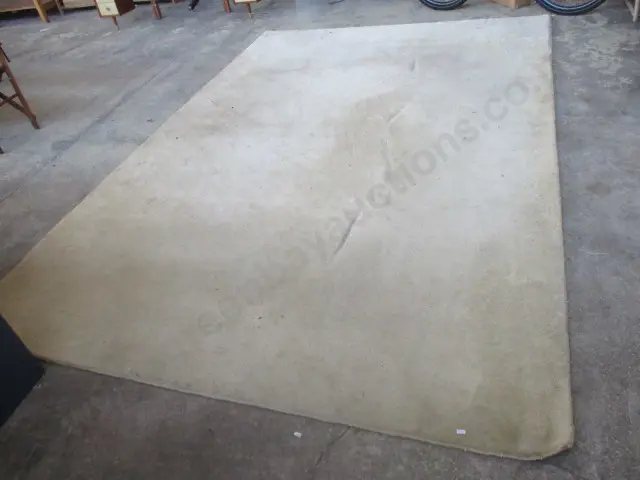 Rug Image 1++