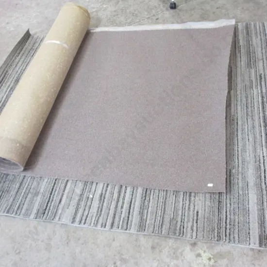 Carpet and Rug