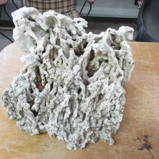 Coral