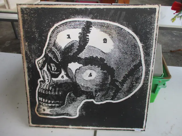 Print Image 1++