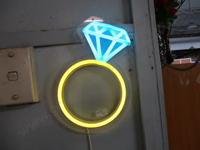 LED Neon Light Image 1++