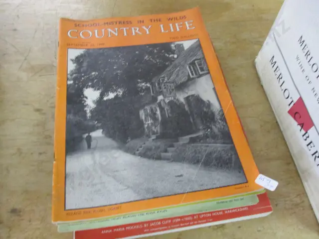 Mags Image 1++
