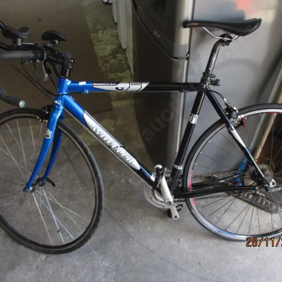 Bike (buckled wheel)
