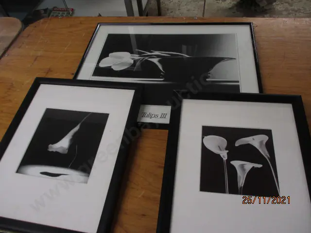 3 Photos Image 1++