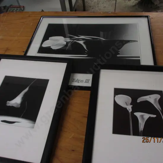 3 Photos