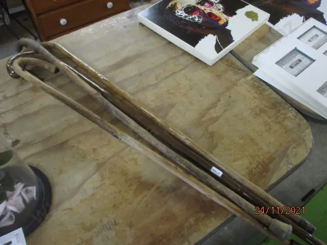 Walking Sticks Image 1++