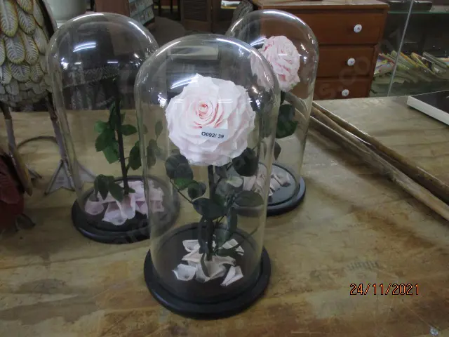 3 Glass Domes Image 1++