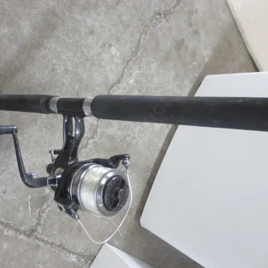 Rod and Reel