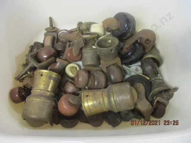 Castors Image 1++