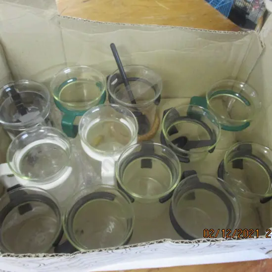 Bodum Cups