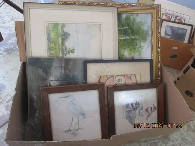 Collectables Image 1++