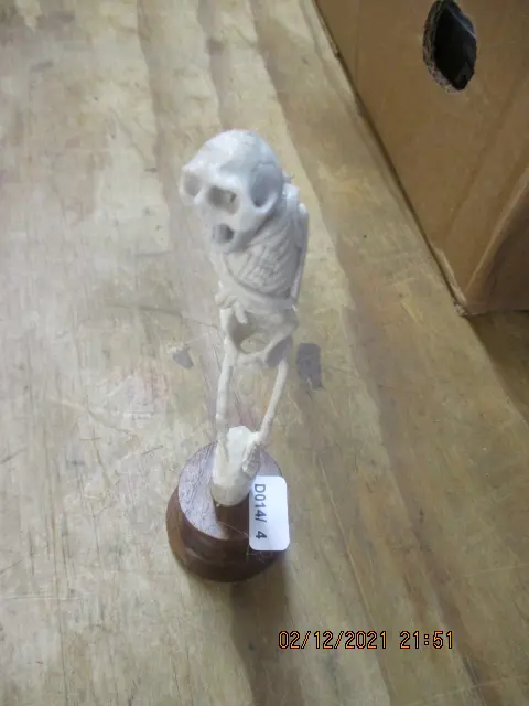 Bone Carving Image 1++
