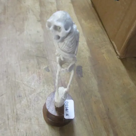 Bone Carving